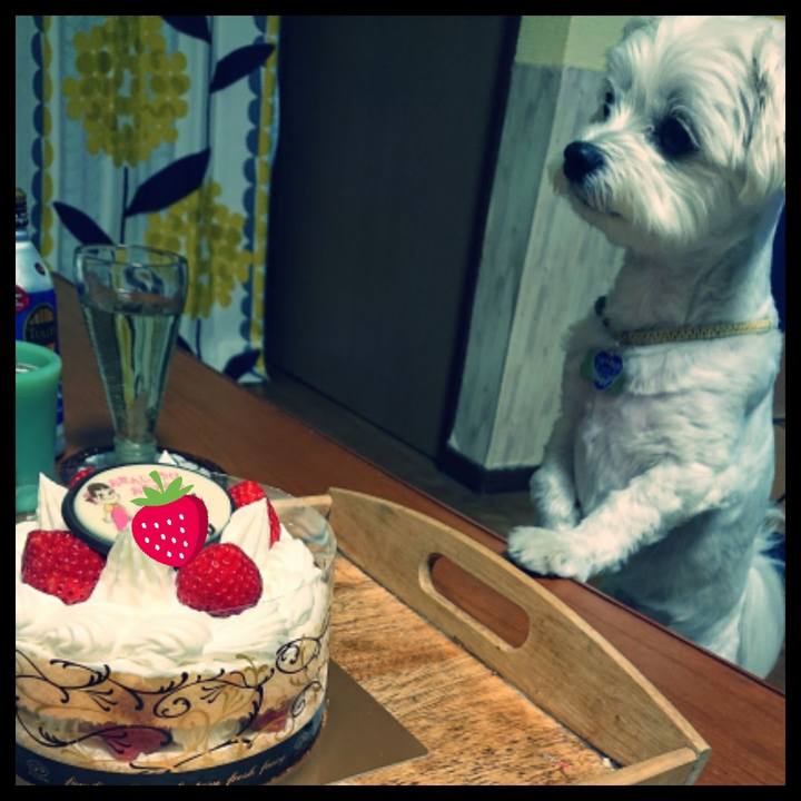 41bd8ad7 9d5b 4cf3 9888 a662a27d26af 1534420126680