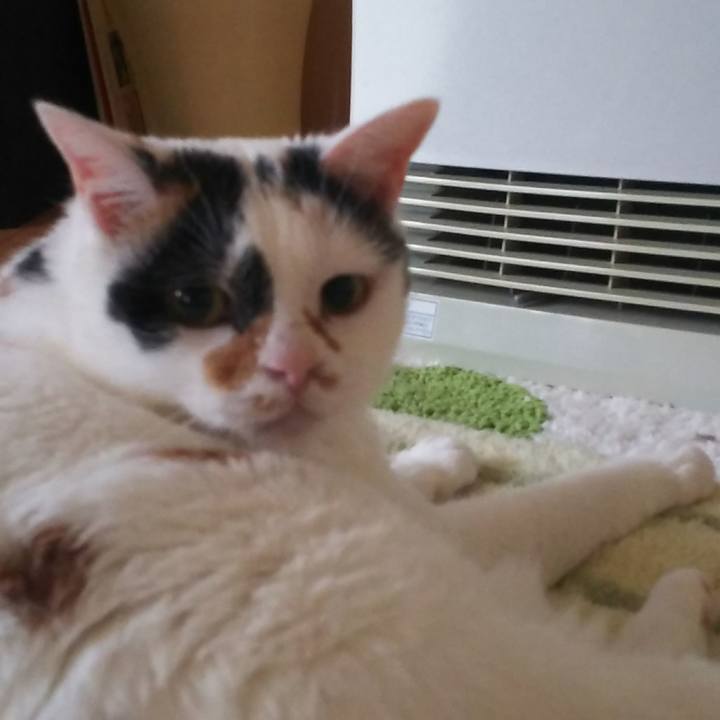 41bdecdd 94a0 4454 87ad 2f969157feea 1574031243808