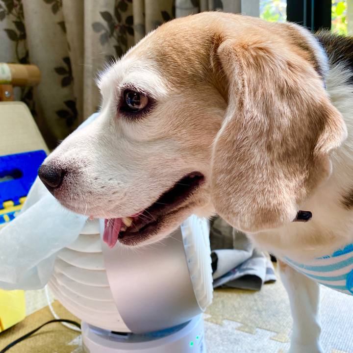 41bdfb4d 8940 4400 b3bd 056b2bb27a21 1593661517424