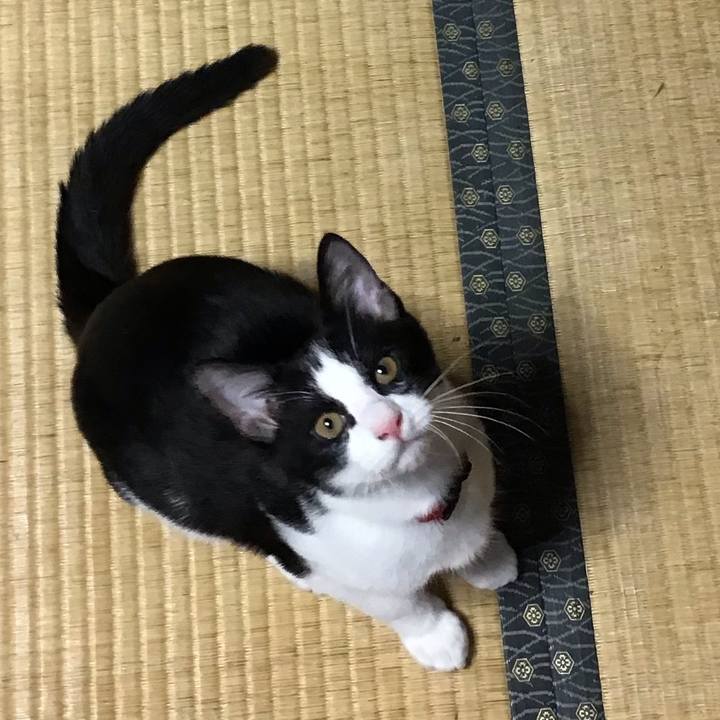 41be4157 2977 4a74 8a9a ae0f4f0007b5 1628761781651