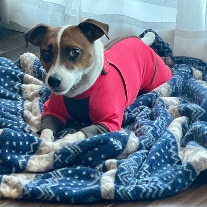 41be4511 10a4 426a b5f4 d509d0354bbd 1642826158535