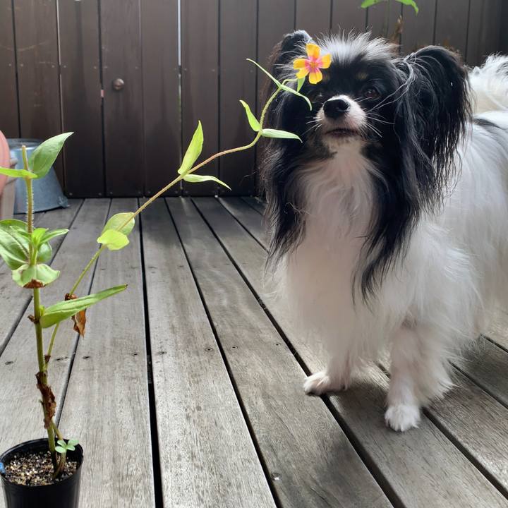 41be6c13 192f 4efb 8aa5 85458faed0d0 1627736100554