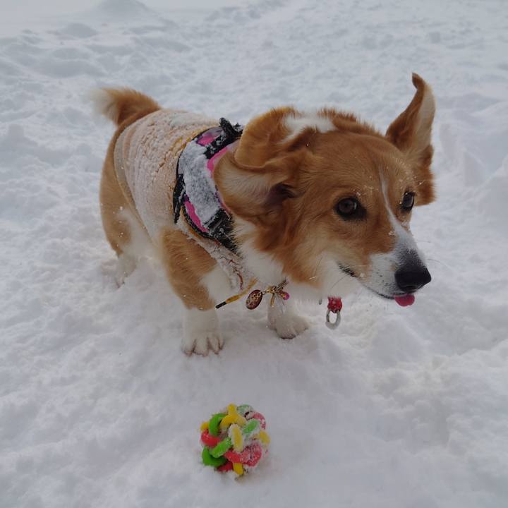 41be6cde a087 4004 957a c52ca000ead9 1770354923681