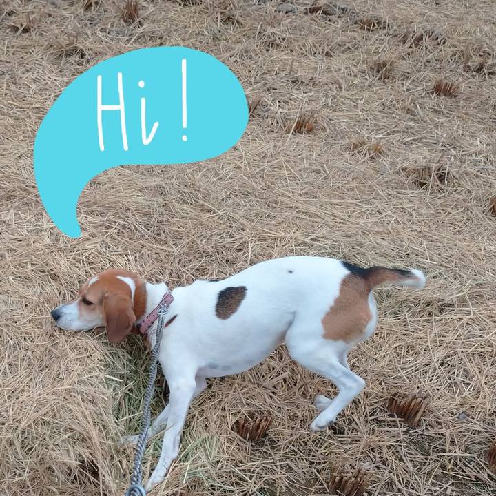 41be816f ff42 4d6d 9c9a 6b399e319e1d 1601793664171