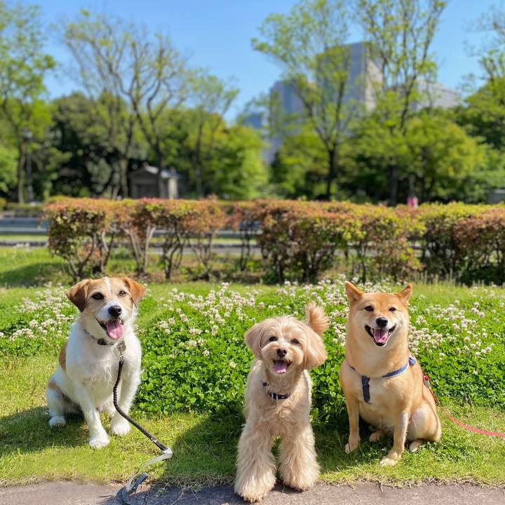 41beb1c0 a64e 44f5 b38c 25159341ad2c 1651723366439