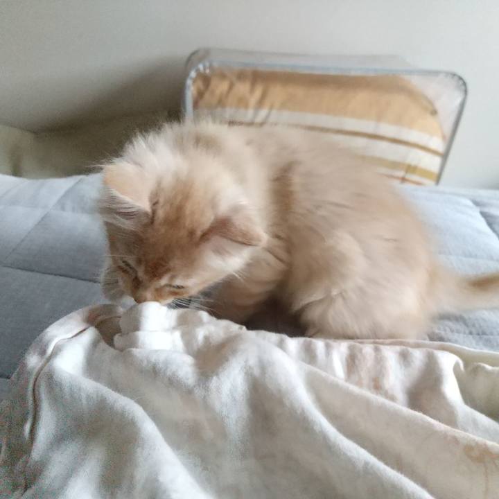 41becc30 94d9 4d12 896d aaf453616e57 1602717268220