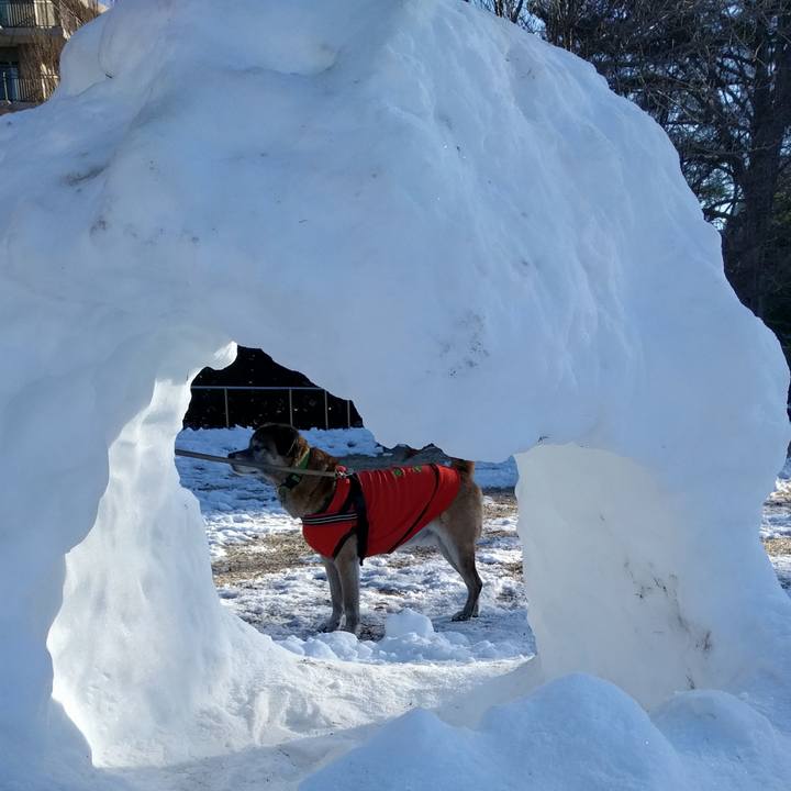 41bf0e0d 98b0 4e05 bf56 06b12b9594fb 1516926430747