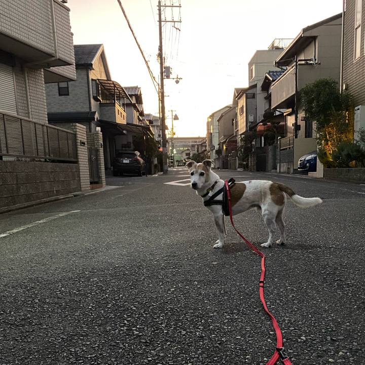 41bf1f63 3ade 4911 8cfd 2379f6ef31bc 1607290601663