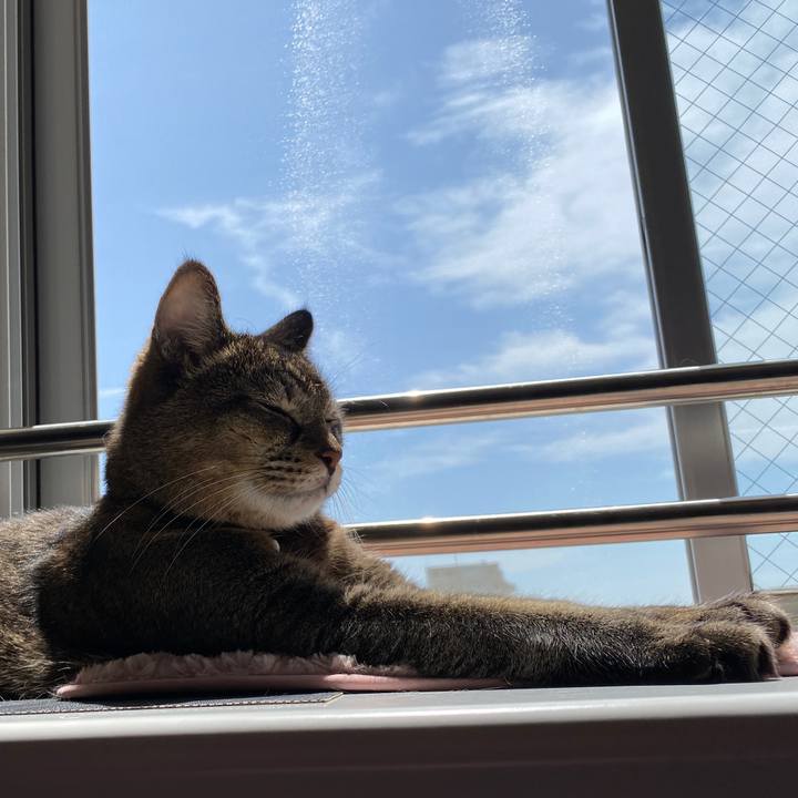 41bf2941 a369 4d46 97d5 71cfe5e1bb2f 1661659244447