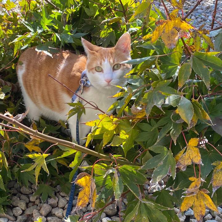 41bf50ca 2b1e 4f04 b8ea ccd2c6f867de 1572843078420