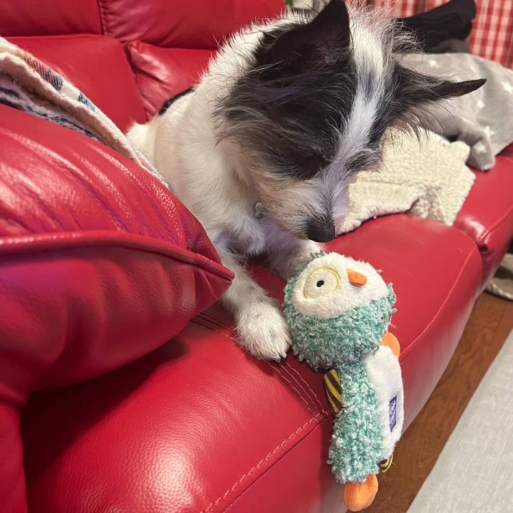 41bf718c db6a 48ea b60c 24f71f3cc90d 1741869250284