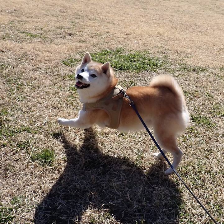 41bf80a7 4731 420f aee7 690bed54d8bb 1739827660860