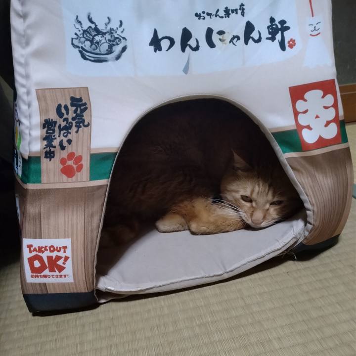 41bf90da df38 421b b791 cce94545f19d 1668773305145