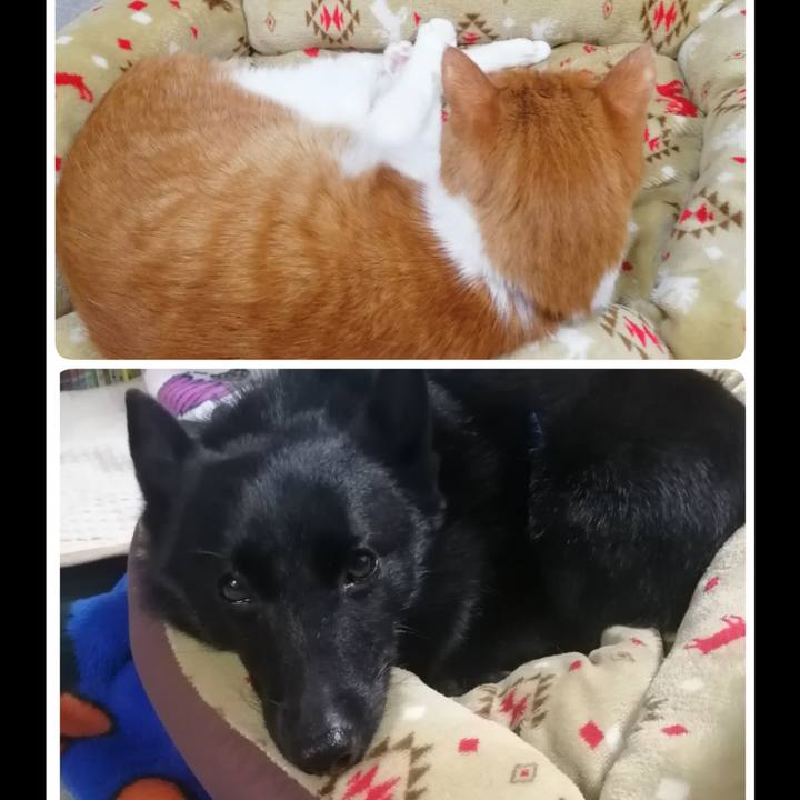 41bfa884 5d35 4ef7 bbd5 bdc07a130487 1635846329224