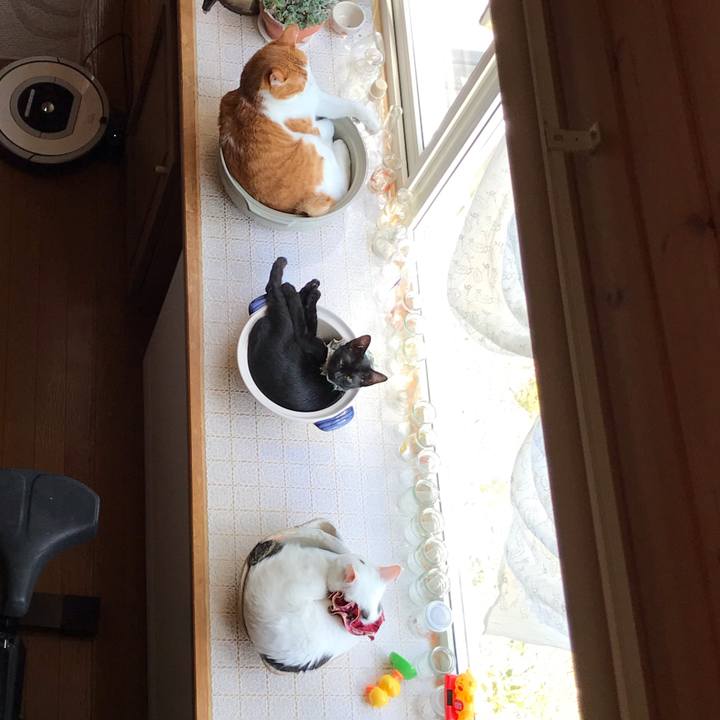 41bfda8e cdd7 413e 9f2c 5d511b90faec 1565841828137