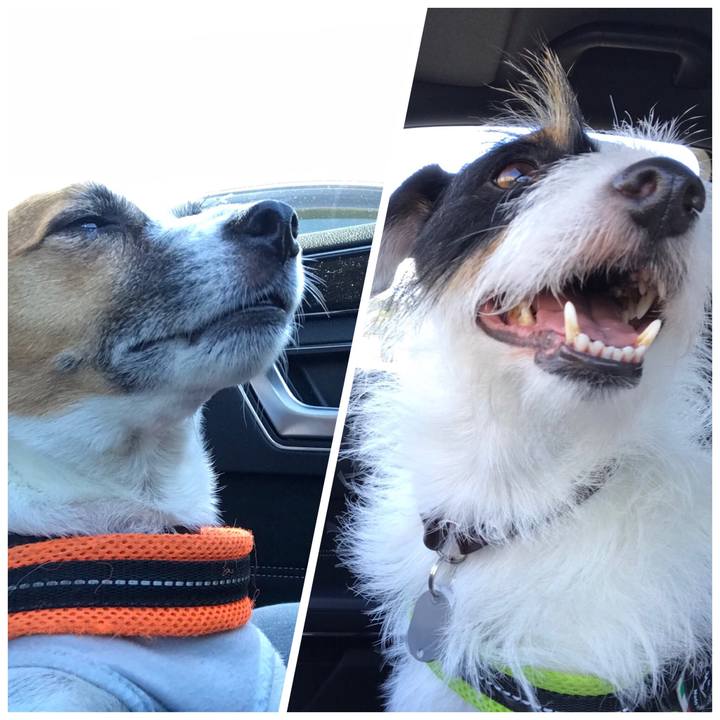 41bff717 4ffa 47fb 9924 875fa2c56c29 1534491238629