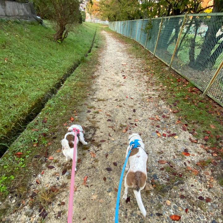 41bff8d3 f78a 4686 9e67 53cf624efbae 1698289154002