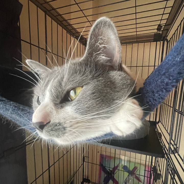 41c009cf 6d50 48e9 8889 bc3be0a6daee 1625812006874