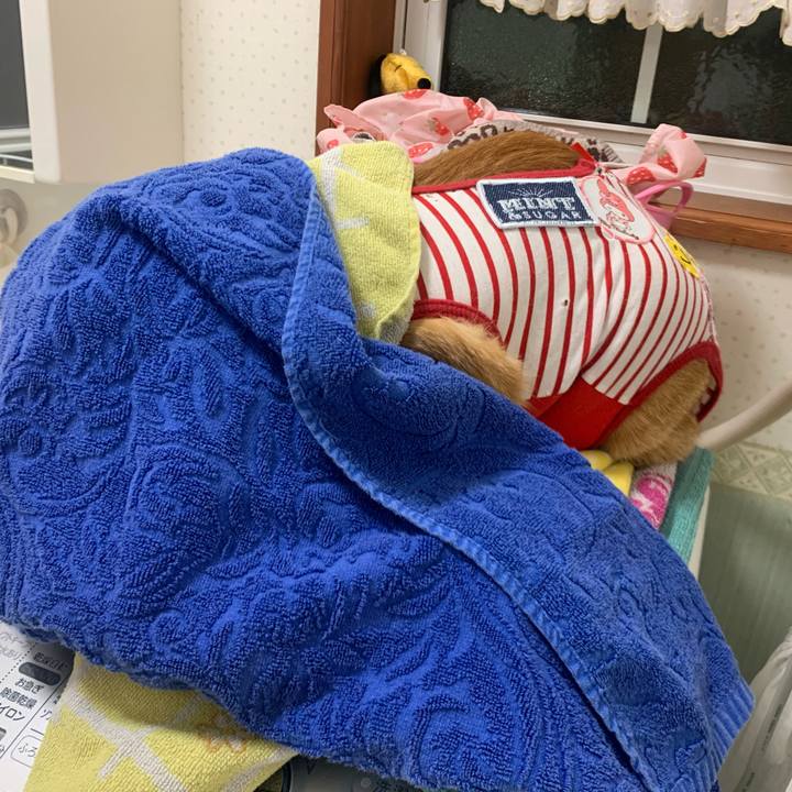 41c01d3b 33a3 445d 95ee f2979602b208 1586083158719