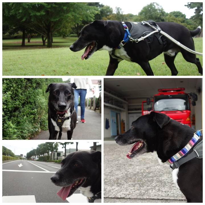 41c04116 8760 4cd1 85b0 17f1255f3ea7 1665279319827