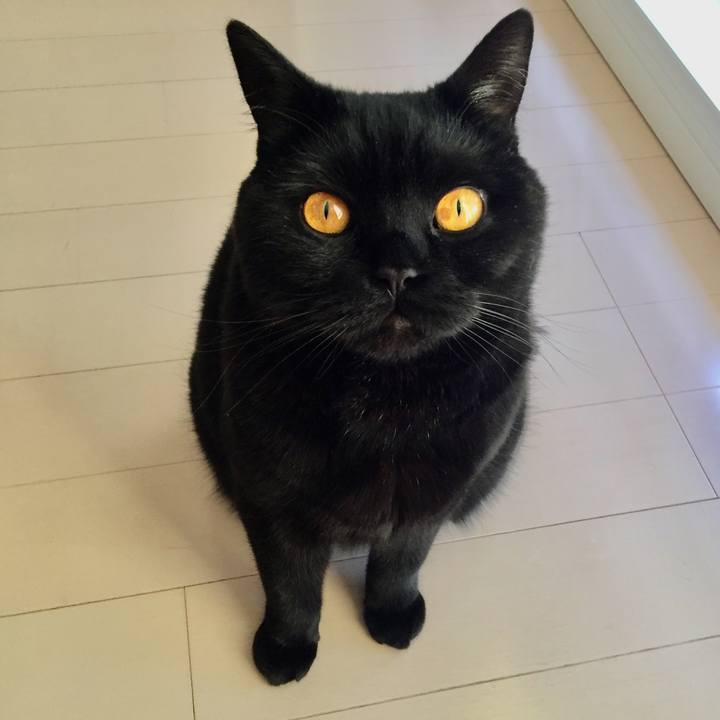 41c05211 d937 4bbc 8e65 a10bb5a49d37 1555923555156