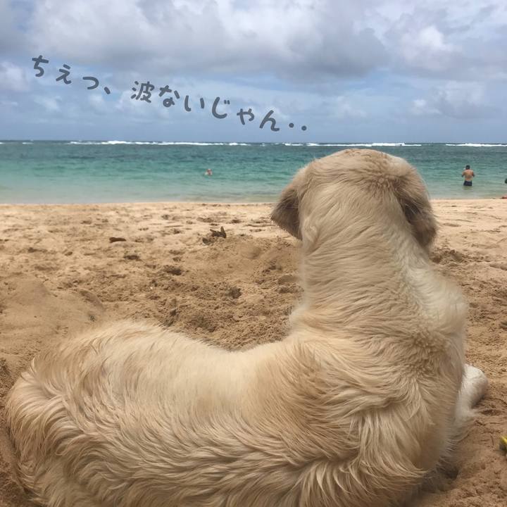 41c0cb63 de38 4964 a819 d288270956ca 1524561004472