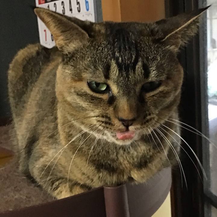 41c0e3e4 5e79 4d3c 9bc1 5668a044c11c 1713781068503