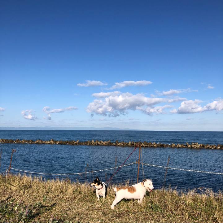 41c11026 6ad2 4ed5 b26c 7260e935de9b 1539822850182