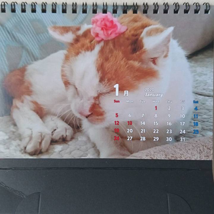 41c11d55 32c3 4e12 a505 f2473fdf3424 1578720348639