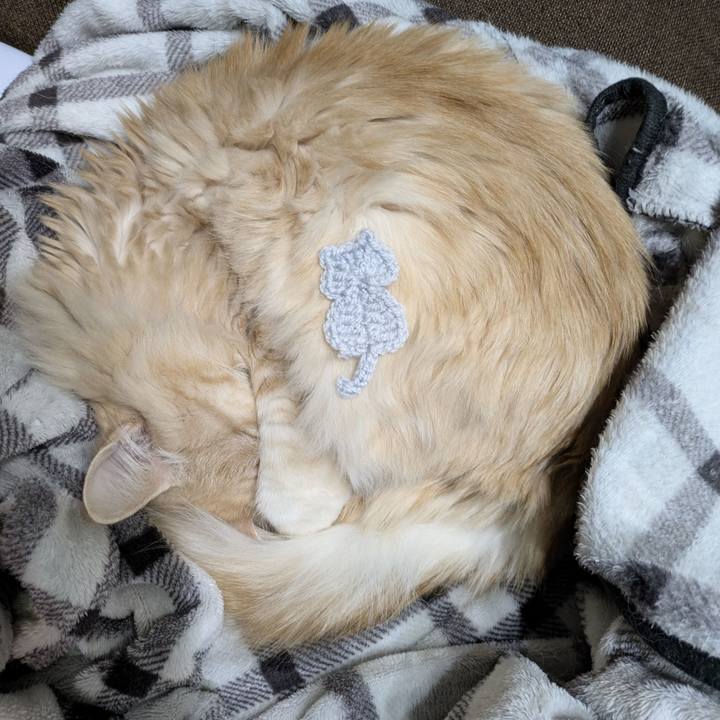 41c12ba7 a0dd 443d 82b2 48cba103696a 1769010143321