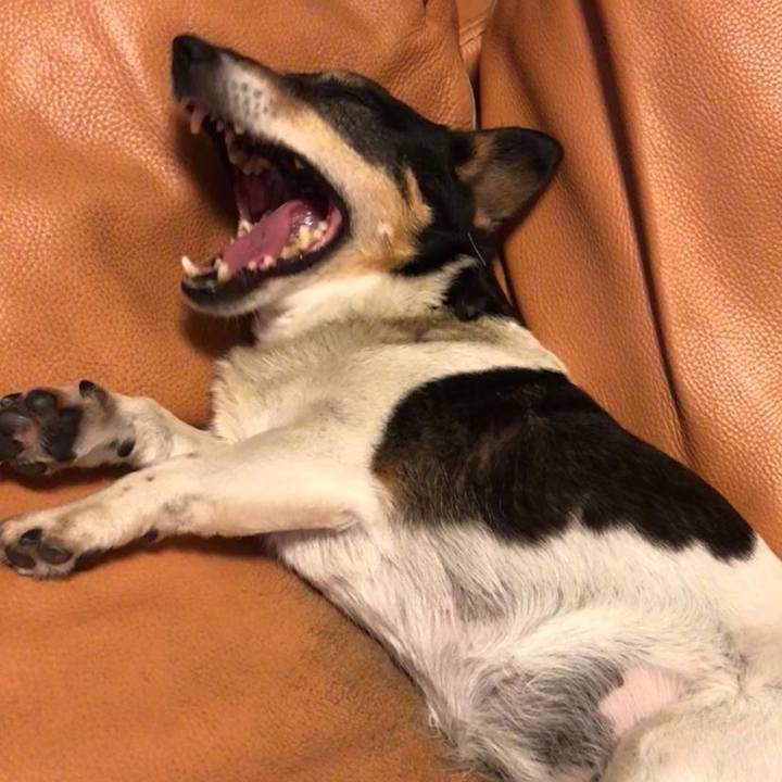 41c1561d e088 4208 a381 948700d02261 1531836337317