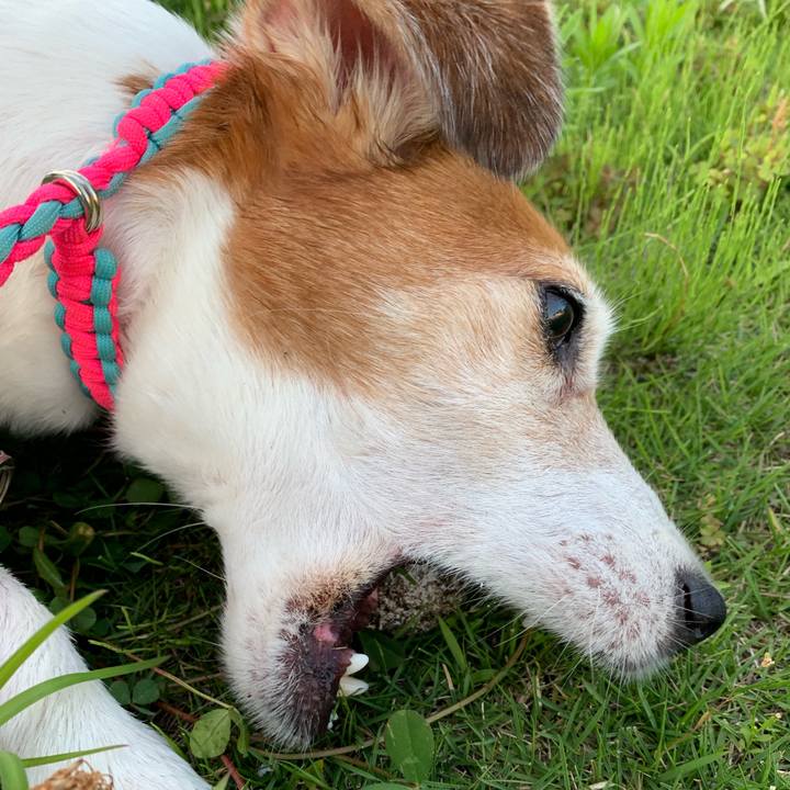 41c1592e 40c3 460b 9983 e17b96628f52 1565915188742