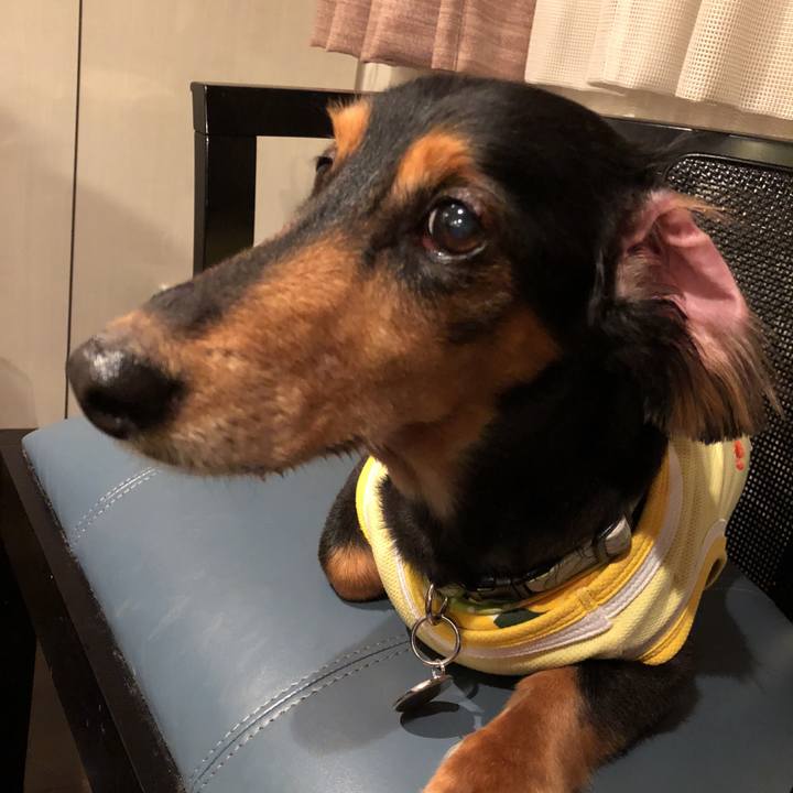 41c176da 5828 4141 af99 0b87a196f8a3 1536239395193