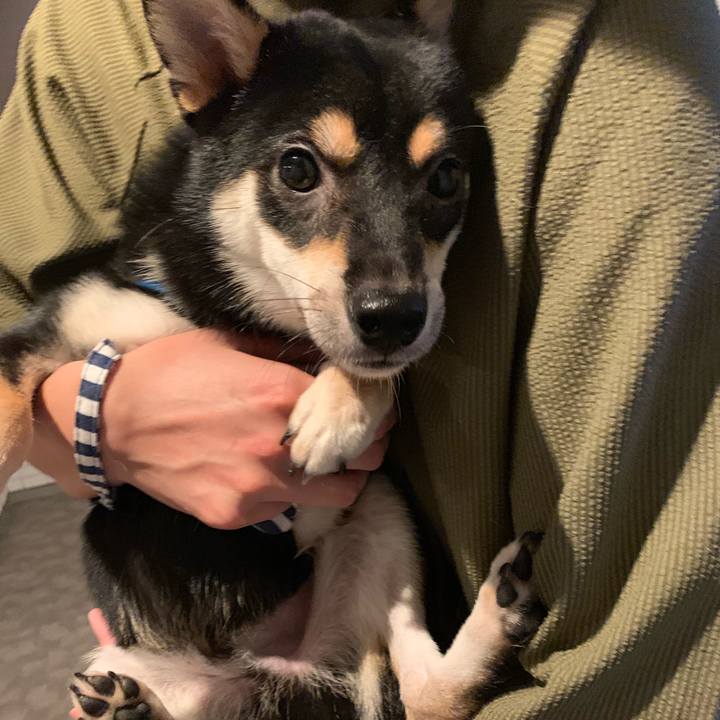 41c17b11 04b7 42d4 b05b a769a6e6cb78 1570441629390