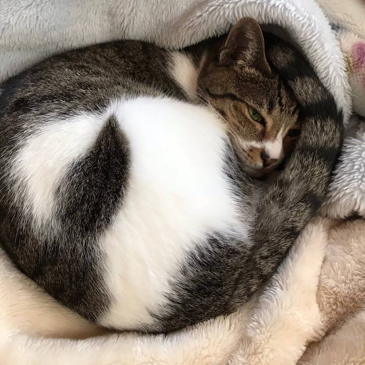 41c1a422 16aa 4d9e 957c 4611174d57eb 1513043895447