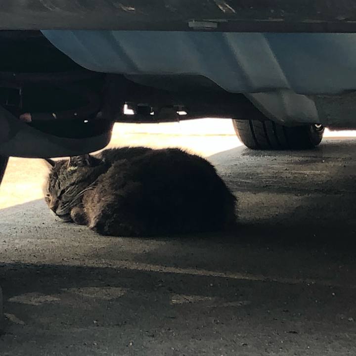 41c1bbcd f3b0 4639 82ee f1fbe06bd508 1559127727055