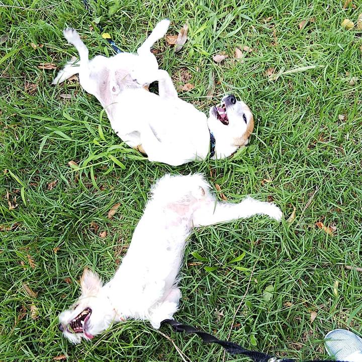 41c1c3b4 8688 4654 9542 1e1f885b9109 1537080834076