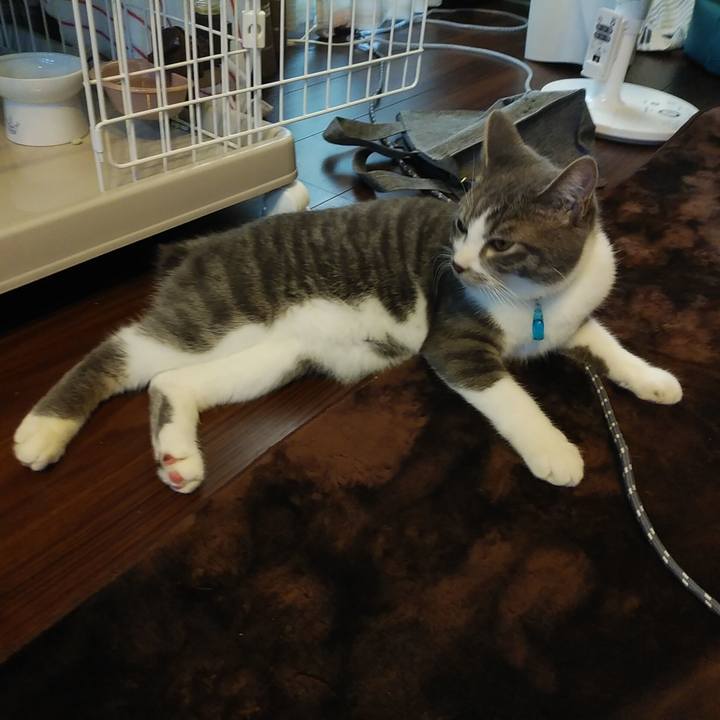 41c1ca96 495e 4125 850e e1f57f064880 1574319543271