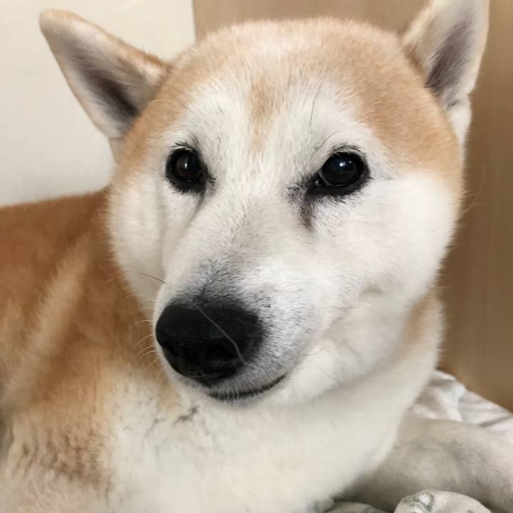 41c1d9d3 dd37 40c2 af8e b39f960de58e 1537224020655