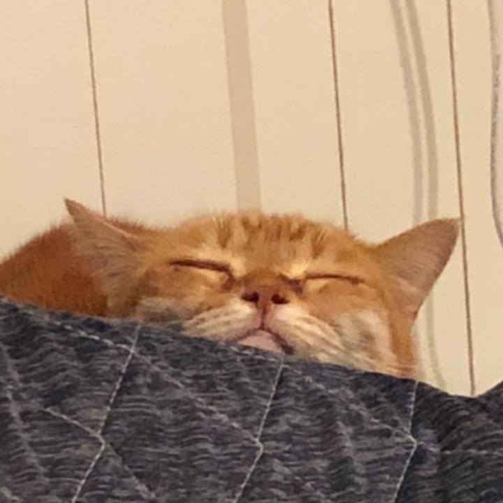 41c1e658 d4d7 4c40 9728 cfa2ad13c430 1579487734367