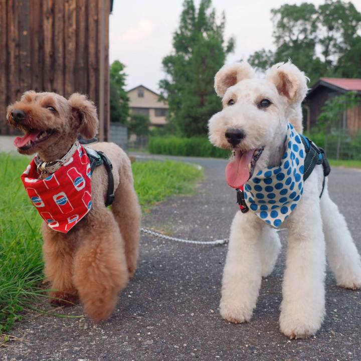 41c23aca 6dda 4a03 87b2 6fb40c1703b9 1564402921160