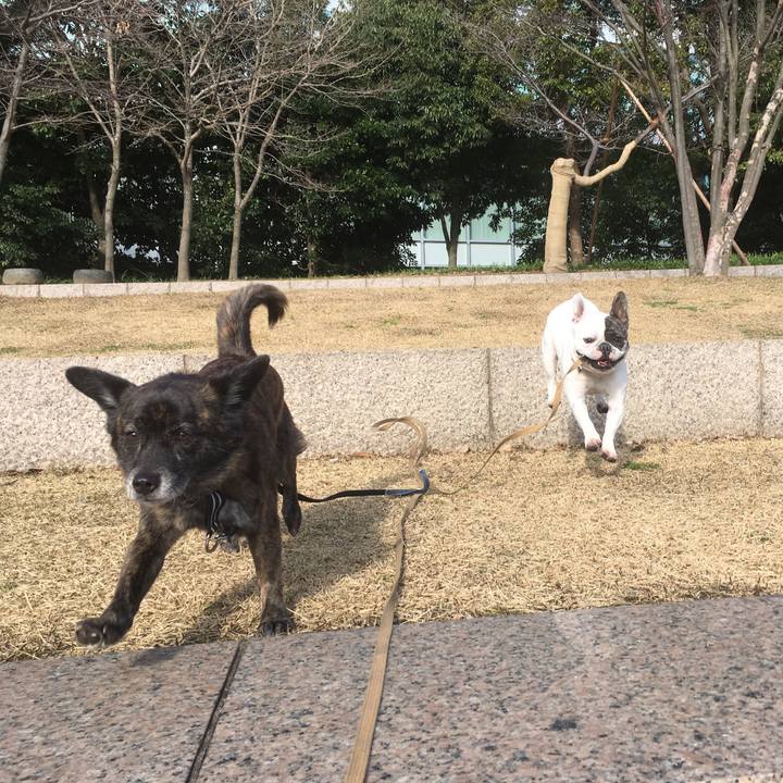 41c25f54 ef60 44b9 9e8d a2aaaf03a45a 1550500978768