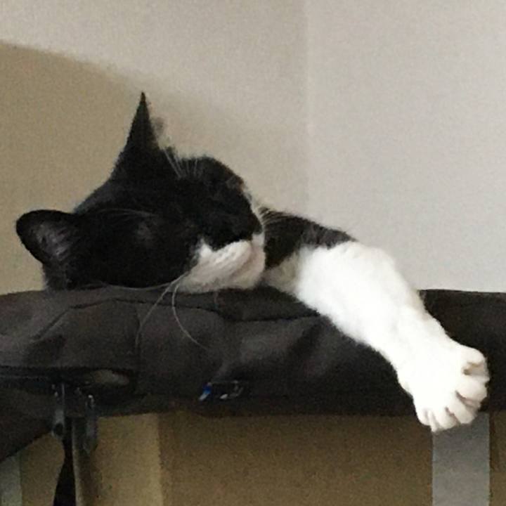 41c28889 54e2 4181 8e59 f2a71a0cdbd1 1590850076862