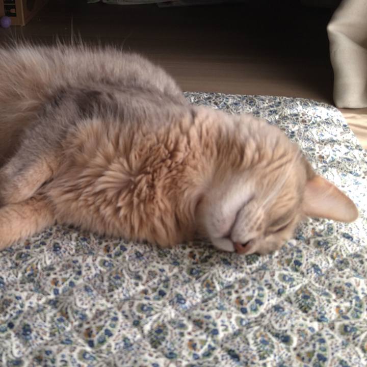 41c29a4e fc24 4657 bede 39e39530363d 1599958425479