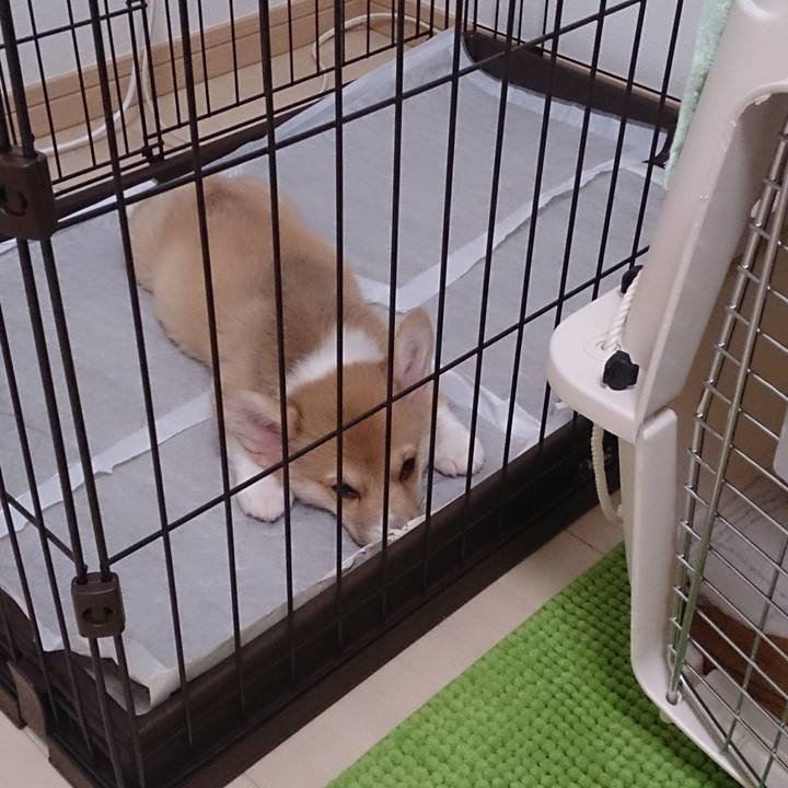 41c2dd29 e088 460e a8ab baf33679f22b 1618101275438