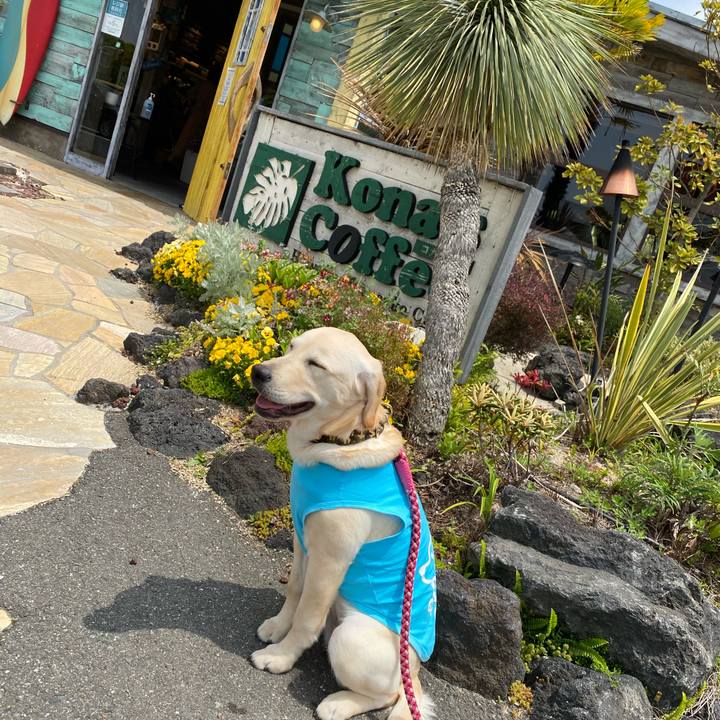 41c2f593 1755 4fbc a5d6 398c31cf9aa8 1620699428592