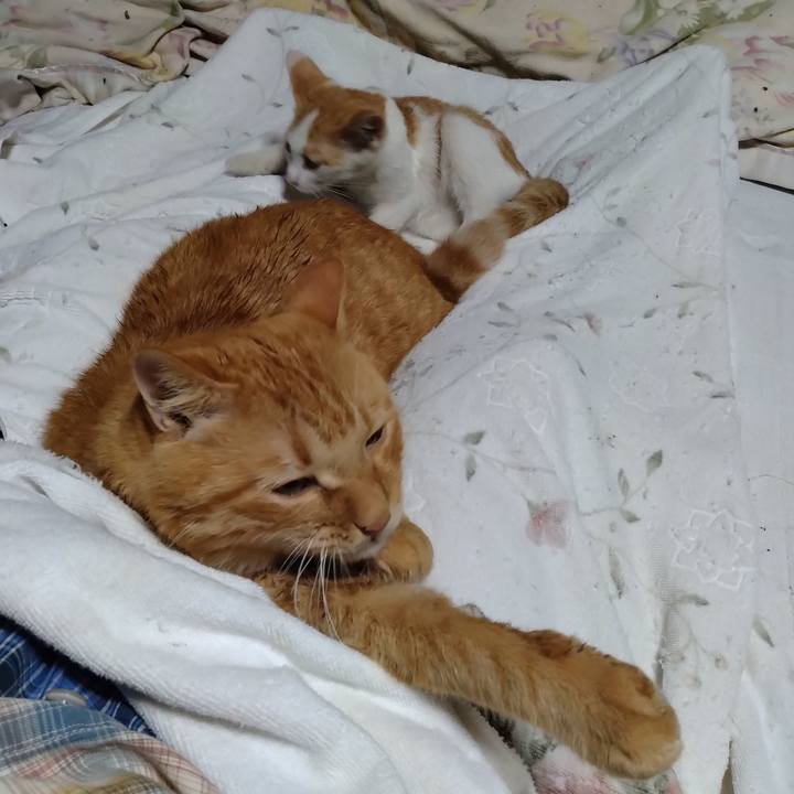 41c3058c f688 48ed 9c3c 22ce96a21cc9 1726926316410