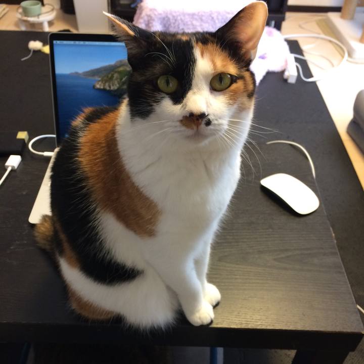 41c31401 c85a 45b8 b808 bfb26487e973 1588200822484