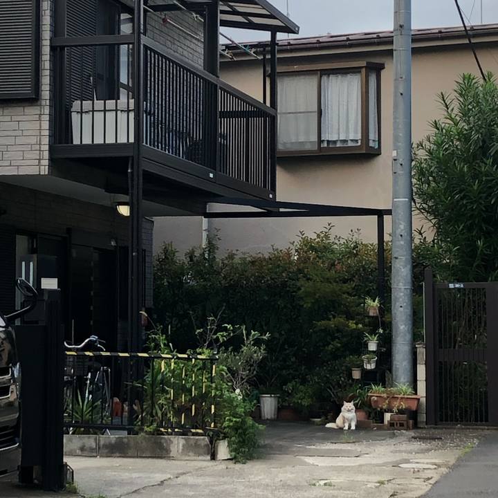 41c31e40 1fb5 4030 a376 141b664cd281 1568466096988