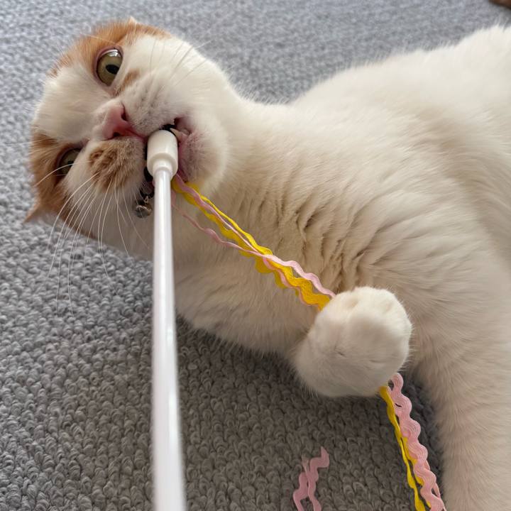 41c3221b 85e8 4df5 9a5f 658ea8a1264e 1770002945601